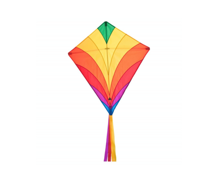 cerf-volant-multicolore